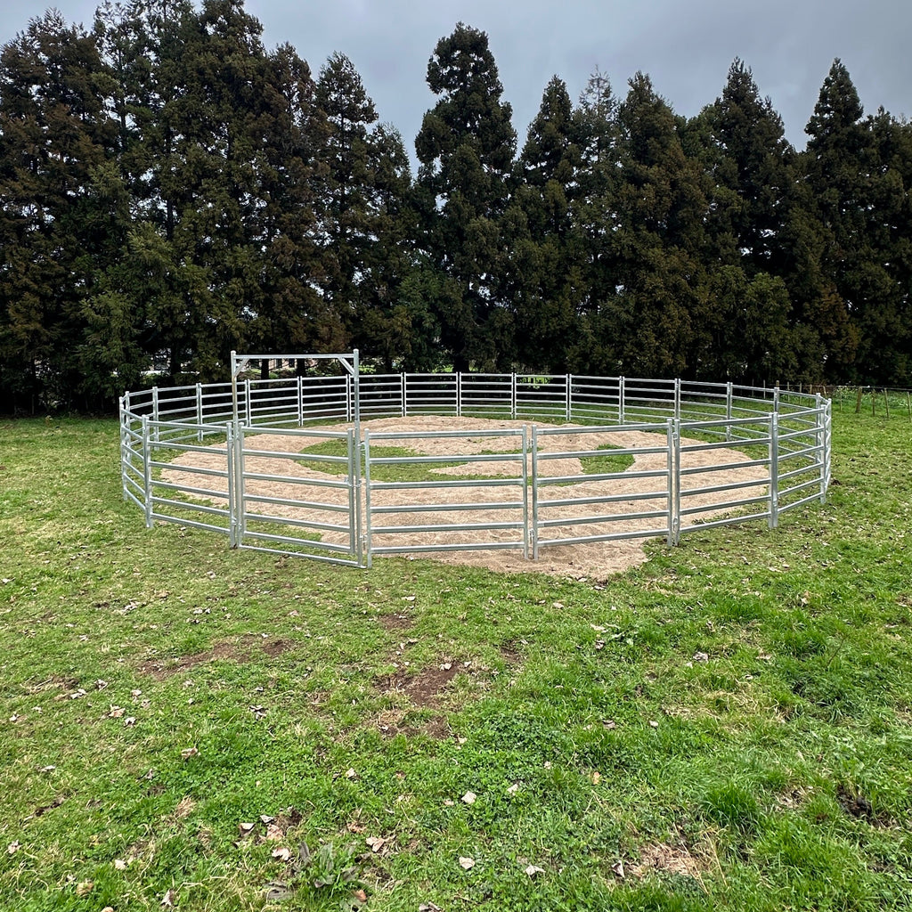 Assembled round horse yard pen with sandy arena floor, in a grassy paddock with trees behind.