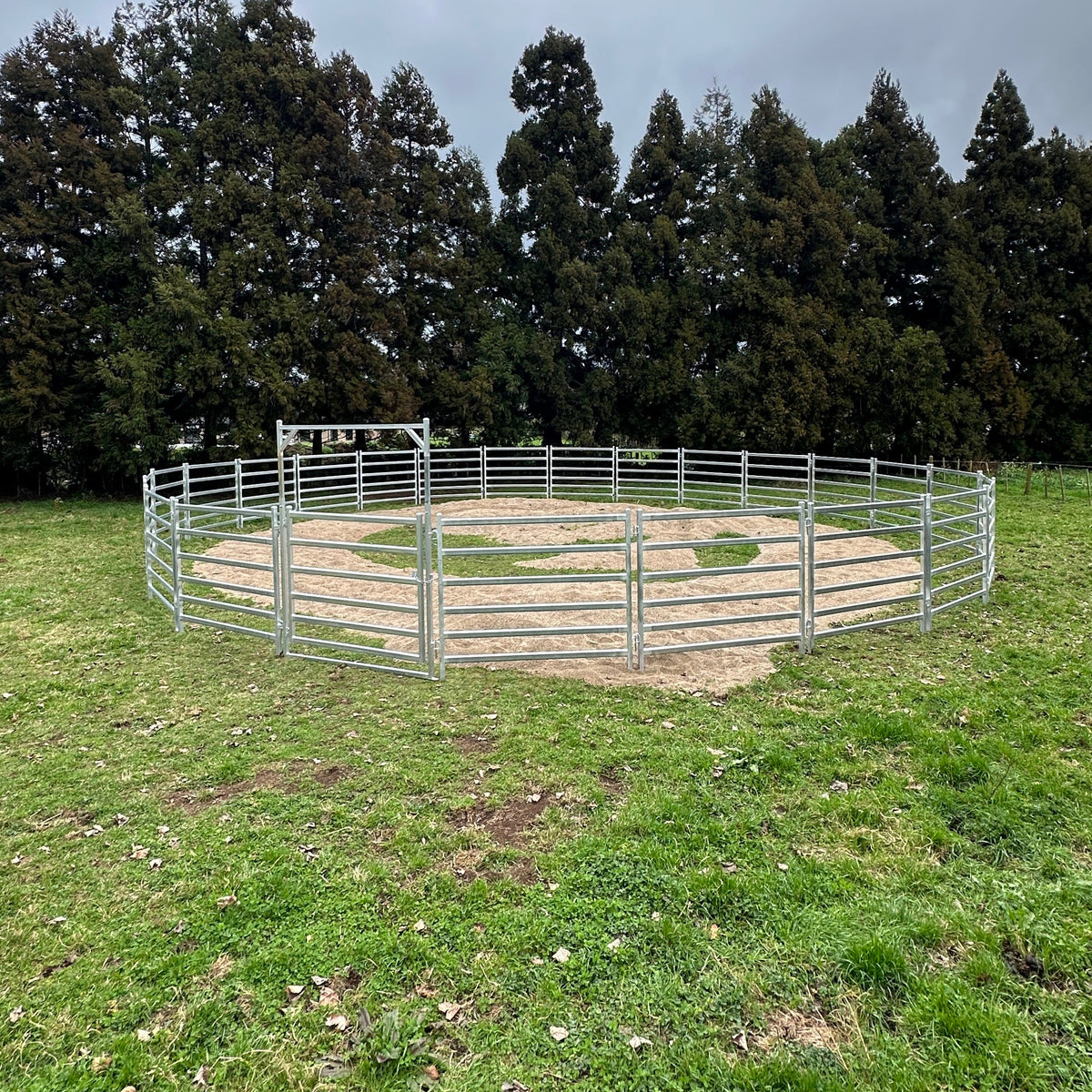 Assembled round horse yard pen with sandy arena floor, in a grassy paddock with trees behind.